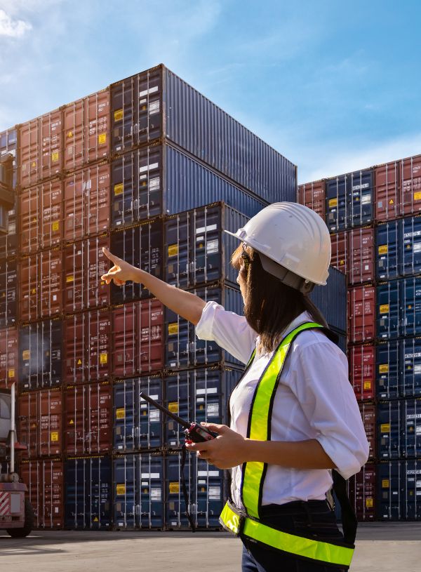 Logistics and transportation services by Lillies Nigeria